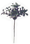 Boxwood Pick